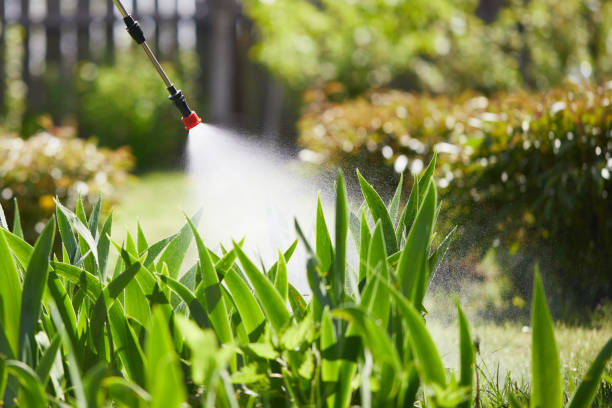 Tamper-Resistant Bait Stations for Rodents in Lake Hiawatha