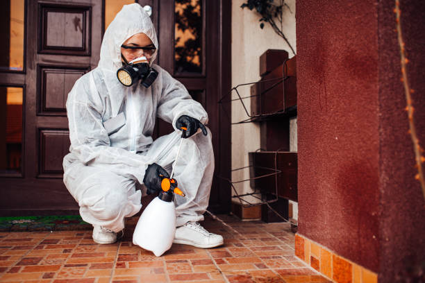 Attic and Crawl Space Rodent Treatment in Lake Hiawatha