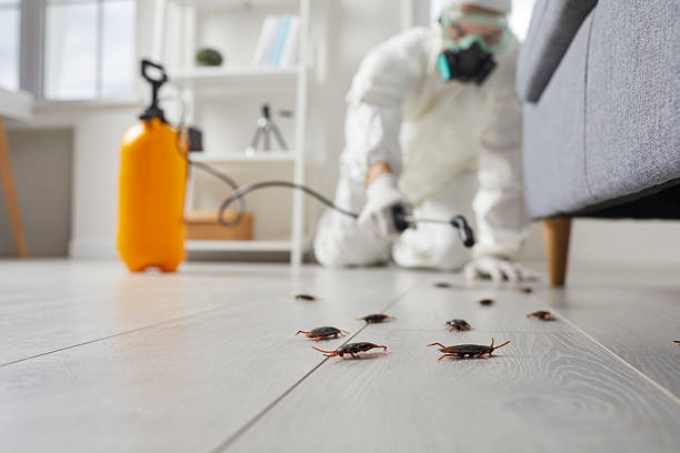 Commercial Rodent Management in Lake Hiawatha